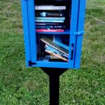 little free library photo