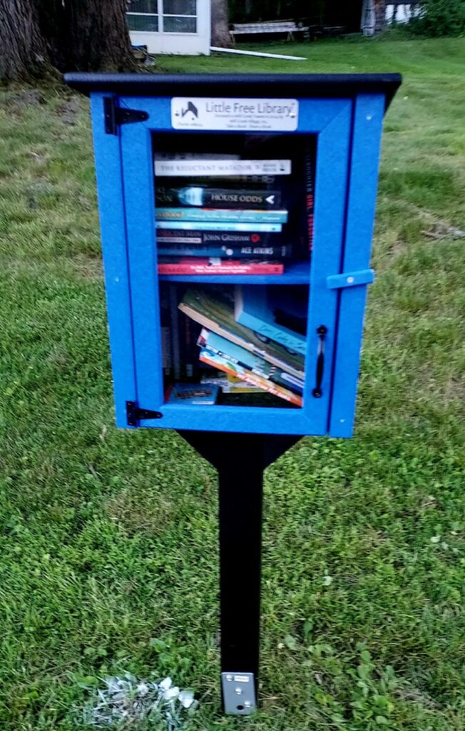 little free library photo